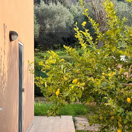Mare, Monti E Limoni